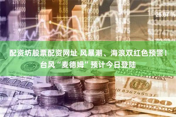 配资坊股票配资网址 风暴潮、海浪双红色预警！台风“麦德姆”预计今日登陆